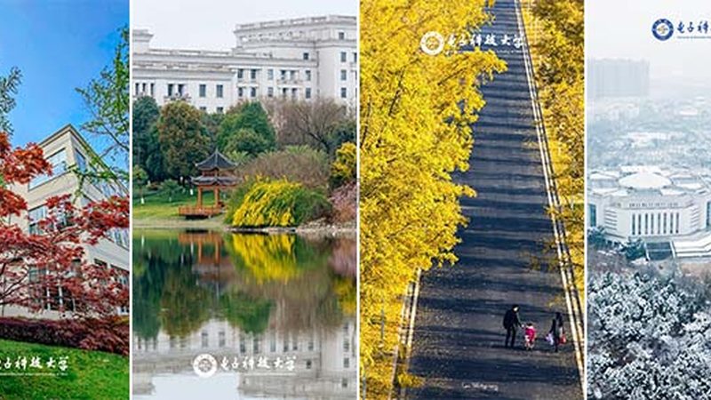 电子配件事务流程自动化：提升效率，降低成本的关键