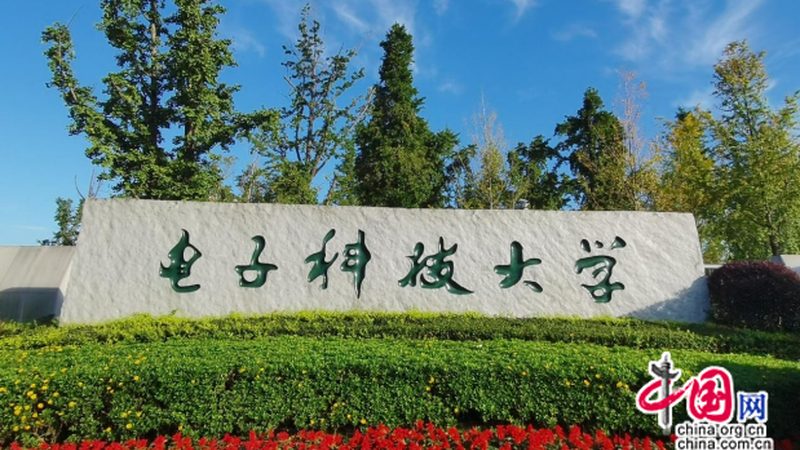 上海进口二极管批发市场：揭秘其背后的供应链与趋势**