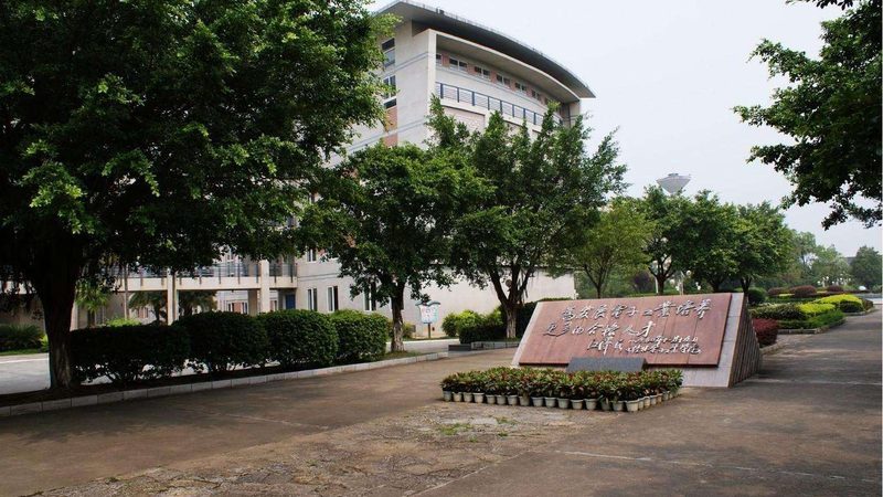 LED正负极识别：关键步骤与注意事项